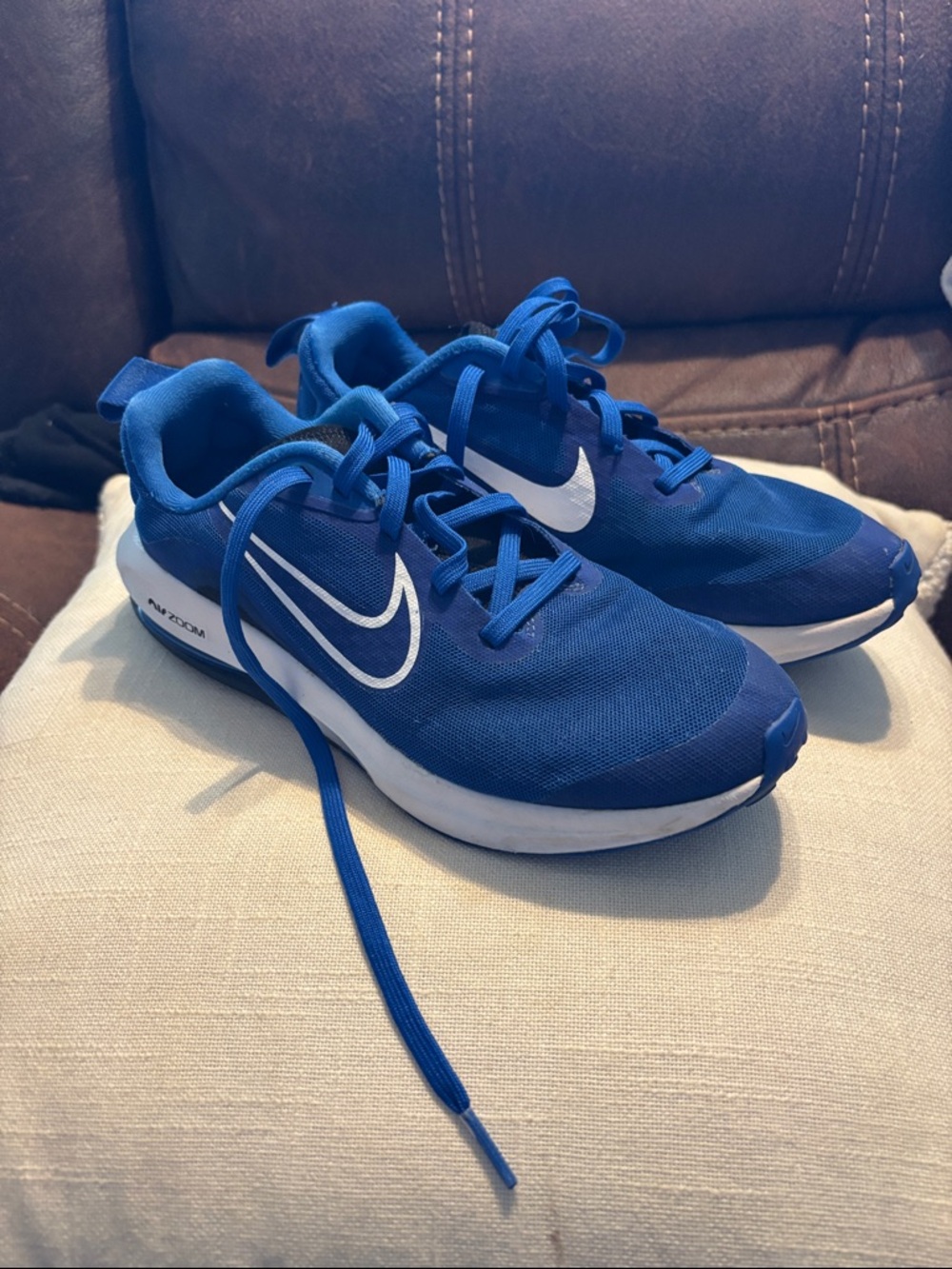 Nike Men’s Royal Blue Athletic Sneakers with White Swoosh